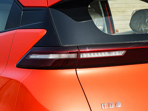 2026�� 305km ���ɰ�
