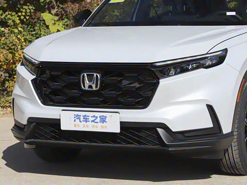 2026�� ȫ��30����ҫ�� 2.0L e:HEV �������а�