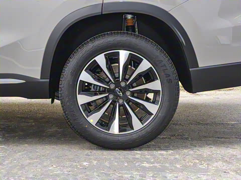 2025�� 290TGDI DCT���ư�