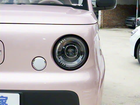 2025�� ������