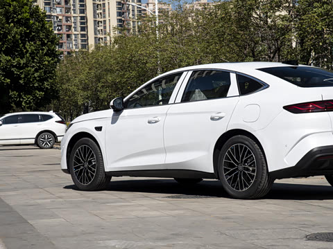 2026�� DM-i 210KM������