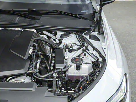 2026�� 2.0T �˶��� Plus