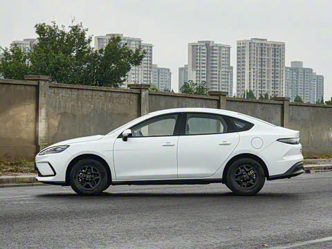 2026�� DM-i 128KM������