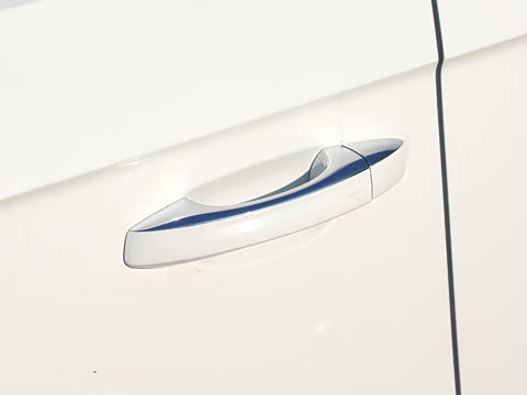 2026�� 300TSI DSG���������