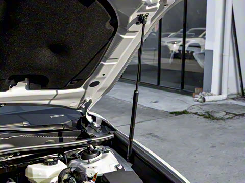 2026�� ˫�� 2.0HXS �˶�Plus��