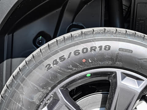 2025�� 2.0T 4WD Pro