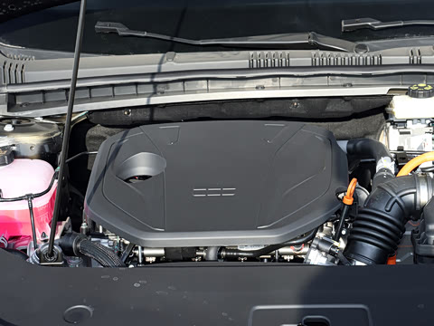 2026�� 60km���ڰ�