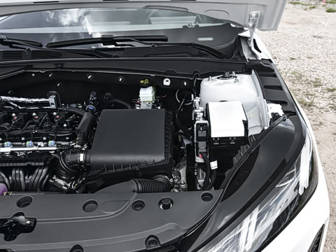 2026�� 1.5L �������� ������