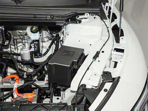 2026�� 565������