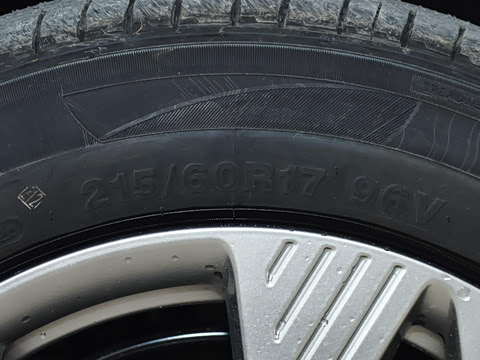 2025�� 565km ������