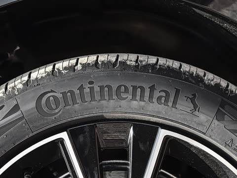 2026�� Max������