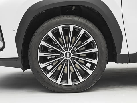 2026�� Զ���� 225km �ǽ���