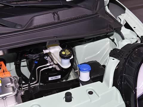 2026�� ���ذ� 205km �İ��� ����