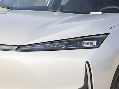 2025�� 518�����͹ھ���