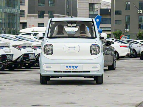 2026�� 222km ��ҫ��