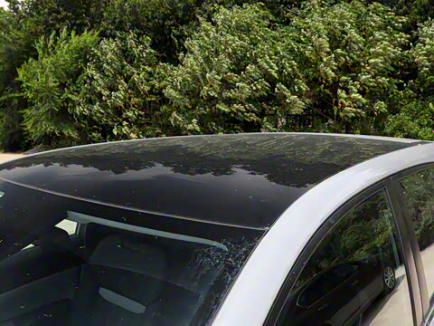 2026�� ��ƽ�� ������������