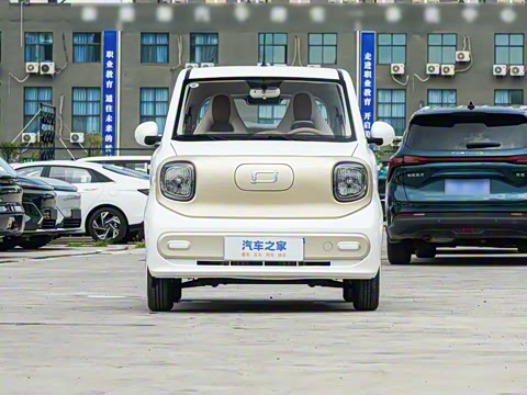 2026�� 222km ��ҫ��