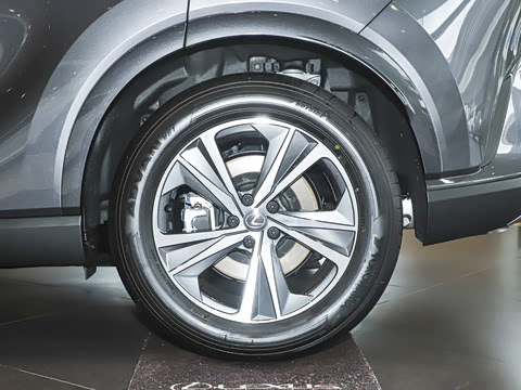 2025�� 300 ����������