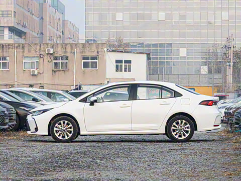 2025�� 1.2T ��Ӣ��