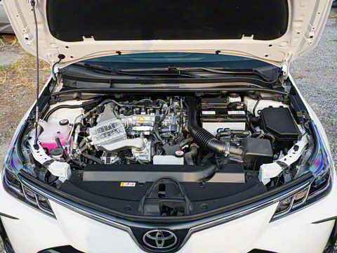 2025�� 1.2T ��Ӣ��