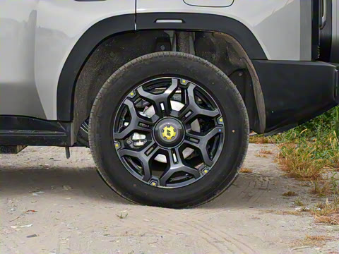 2025�� C-DM 208KM ��Ұ��