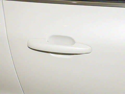 2024�� EcoBoost 245 ����ҫ����