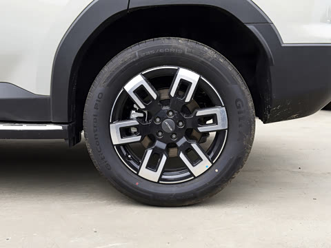 2026�� 2.0T XWD ��Խ