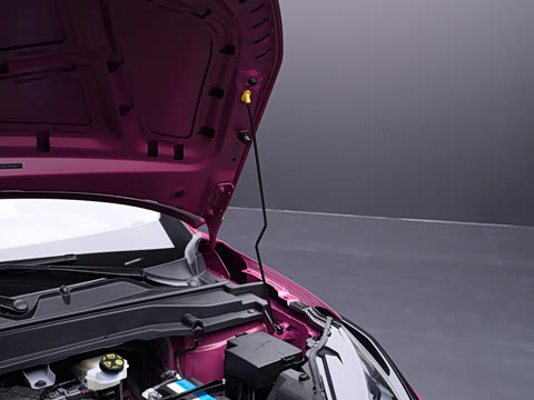 2026�� 450 MAX