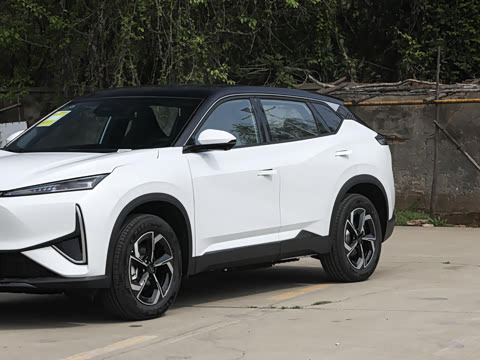 2026�� 530Խ����