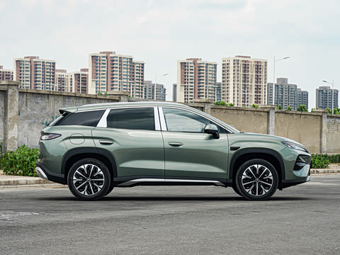 2026�� DM-i 310KM ׿Խ��