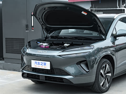 2025�� DM-i 205�캽Pro��