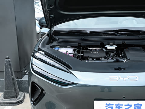 2025�� DM-i 205�캽Pro��