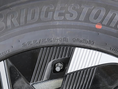 2026�� ����������