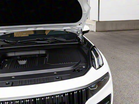 2026�� 2.0T ����̽����Max