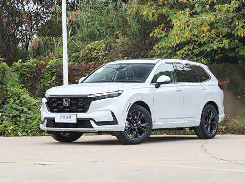 2026�� ȫ��30����ҫ�� 2.0L e:HEV ���������