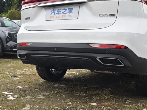 2026�� PRO 1.5T DCT ������ 7��