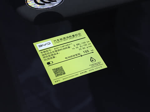 2026�� DM-i 210KM��Խ��