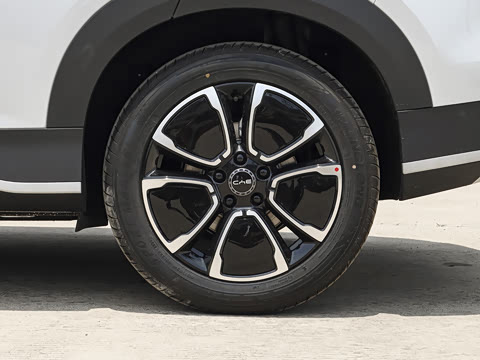 2026�� DM-i 305�캽��