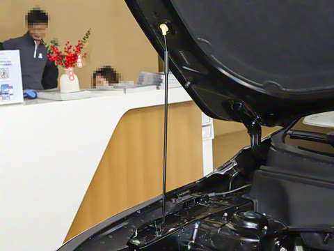 2026�� 1.5L IVT������