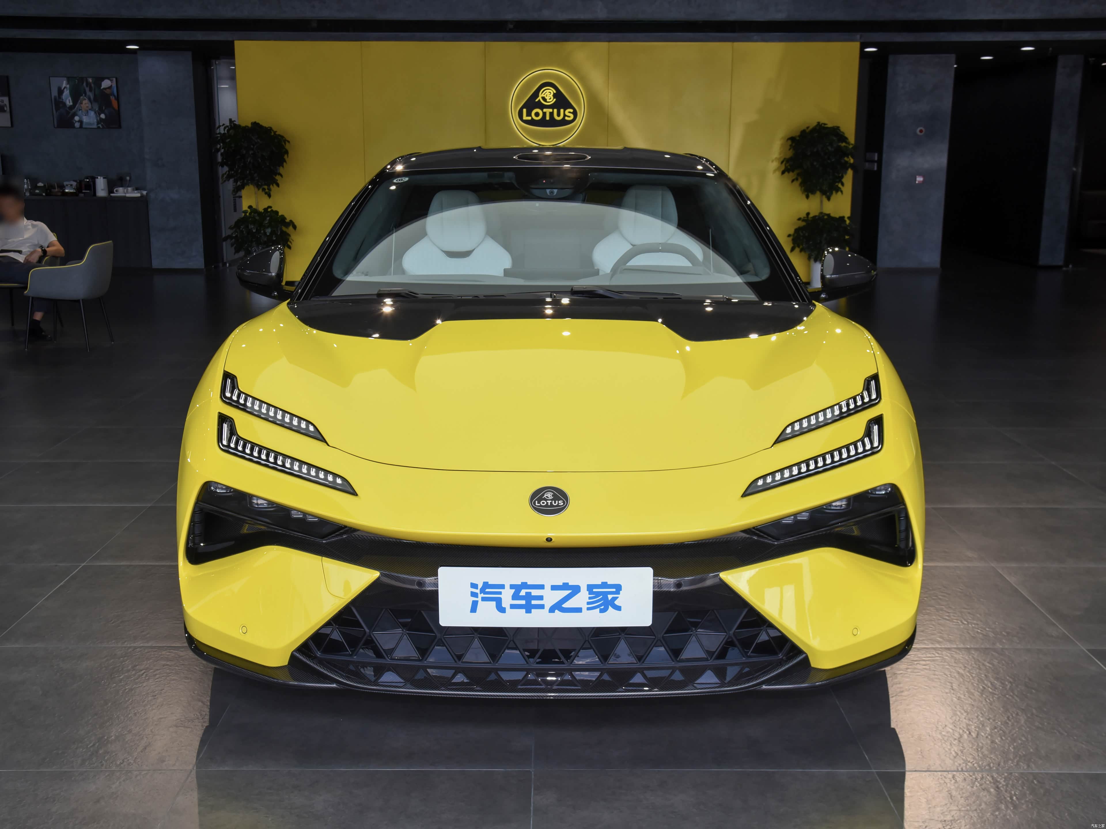 Lotus Emeya, миниатюра 2
