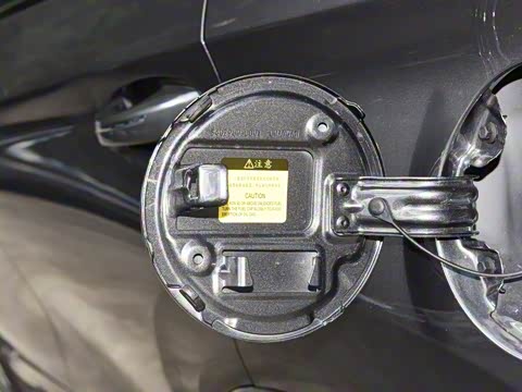 2026�� �ǻ۹ھ��� 1.5T ������ �Ǻ���