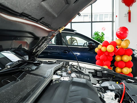 2026�� 1.6T Ԧ����