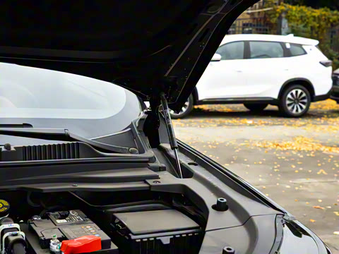 2026�� 1.6T DCT���ʰ� 5��