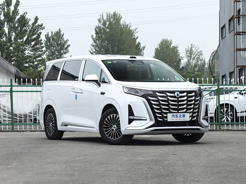 2025�� DM-i ��������