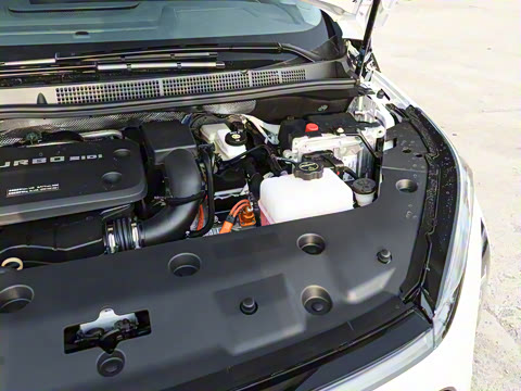 2026�� ½�� ������