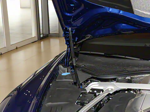 2024�� 4.0T GT V8