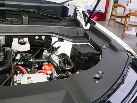 2025�� 1.5T 106KM������ 5�� �������