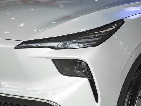 2025�� 565km �����