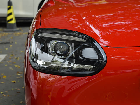 2026�� 310������