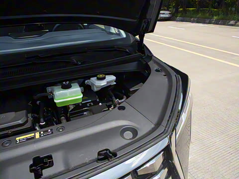 2025�� �������հ�